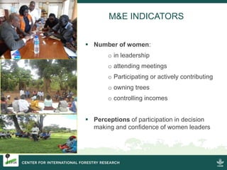 Strengthening women's tenure and rights to forests and trees and their participation in decision making