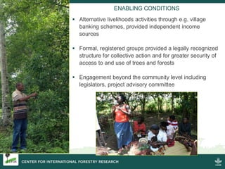Strengthening women's tenure and rights to forests and trees and their participation in decision making
