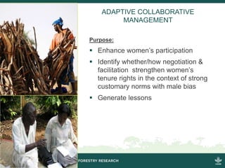 Strengthening women's tenure and rights to forests and trees and their participation in decision making
