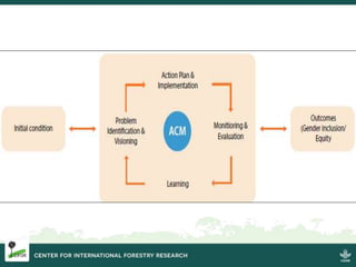 Strengthening women's tenure and rights to forests and trees and their participation in decision making