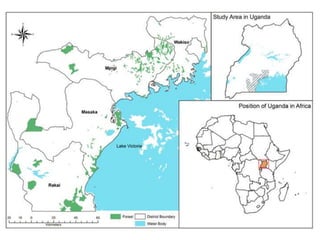 Strengthening women's tenure and rights to forests and trees and their participation in decision making