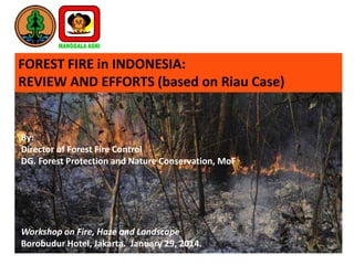 FOREST FIRE in INDONESIA:
REVIEW AND EFFORTS (based on Riau Case)

By:
Director of Forest Fire Control
DG. Forest Protection and Nature Conservation, MoF

Workshop on Fire, Haze and Landscape
Borobudur Hotel, Jakarta. January 29, 2014.
1

 