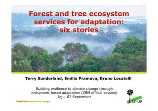 Forest and tree ecosystem
          services for adaptation:
                 six stories




       Terry Sunderland, Emilia Pramova, Bruno Locatelli

             Building resilience to climate change through
           ecosystem-based adaptation (CEM official session)
                           Jeju, 07 September
THINKING beyond the canopy
 