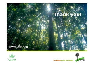 Thank you!




www.cifor.org



                THINKINGbeyond the canopy
 