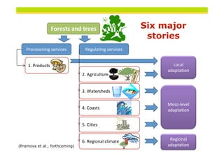 Forests and trees                    Six major
                                                        stories
    Provisioning services        Regulating services


    1. Products                                                        Local
                                                                     adaptation
                                2. Agriculture


                                3. Watersheds

                                                                     Meso‐level
                                4. Coasts                            adaptation


                                5. Cities


                                6. Regional climate                   Regional
(Pramova et al., forthcoming)                                        adaptation
                                                        THINKING beyond the canopy
 