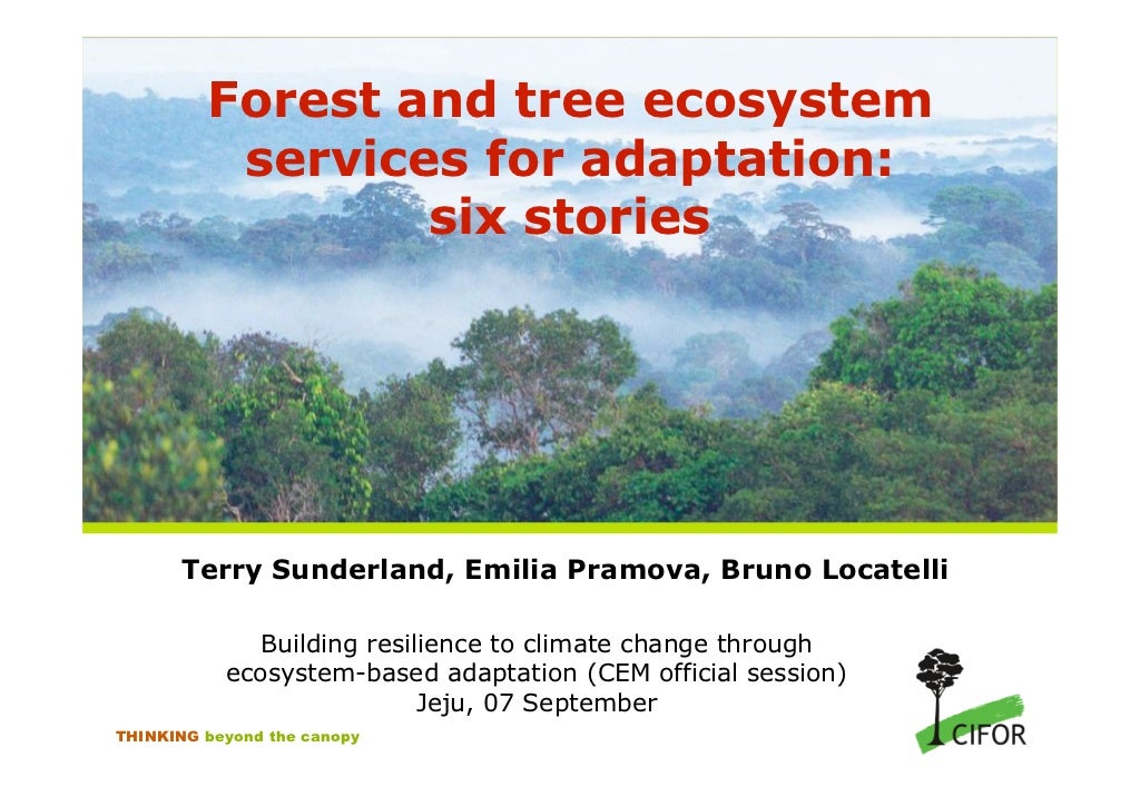 Forest and tree ecosystem services for adaptation six stories