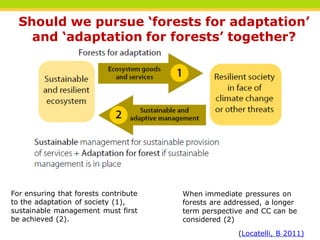 Beyond mitigation: forest-based adaptation to climate change | PDF
