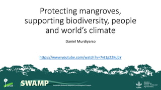 1
Protecting mangroves,
supporting biodiversity, people
and world’s climate
Daniel Murdiyarso
https://www.youtube.com/watch?v=7vt1g22KubY
 