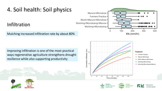 Infiltration
Improving infiltration is one of the most practical
ways regenerative agriculture strengthens drought
resilience while also supporting productivity
Mulching increased infiltration rate by about 80%
4. Soil health: Soil physics
 