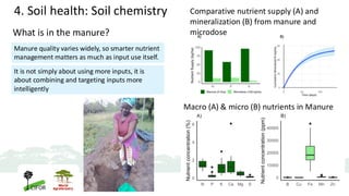 What is in the manure?
Macro (A) & micro (B) nutrients in Manure
Comparative nutrient supply (A) and
mineralization (B) from manure and
microdose
Manure quality varies widely, so smarter nutrient
management matters as much as input use itself.
It is not simply about using more inputs, it is
about combining and targeting inputs more
intelligently
4. Soil health: Soil chemistry
 