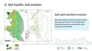 RA could reduce soil erosion and nutrient
losses by up to 05% from arable lands
Protecting nutrients, productivity, and
long-term land health
Soil and nutrient erosion
4. Soil health: Soil erosion
 