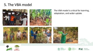 The VBA model is critical for learning,
adaptation, and wider uptake
5. The VBA model
 