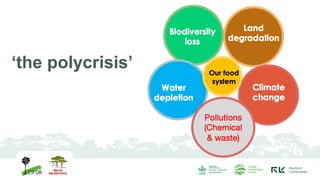 ‘the polycrisis’
 