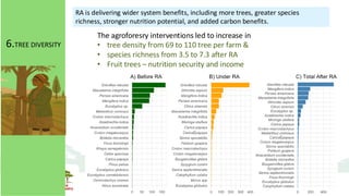 The agroforesry interventions led to increase in
• tree density from 69 to 110 tree per farm &
• species richness from 3.5 to 7.3 after RA
• Fruit trees – nutrition security and income
RA is delivering wider system benefits, including more trees, greater species
richness, stronger nutrition potential, and added carbon benefits.
6.TREE DIVERSITY
 