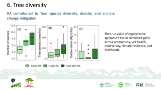 6. Tree diversity
RA contributed to Tree species diversity, density, and climate
change mitigation
The true value of regenerative
agriculture lies in combined gains
across productivity, soil health,
biodiversity, climate resilience, and
livelihoods.
 