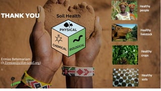Healthy soils Healthy crops Healthy livestock Healthy people
Thanks you
Ermias Betemariam (e.betemariam@cgiar.org)
Leigh Winowiecki (L.A.WINOWIECKI@CGIAR.ORG)
Tor-Gunnar Vagen (T.VAGEN@CGIAR.ORG)
Ermias Betemariam
(b.Ermias@cifor-icraf.org)
 