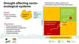 Drought affecting socio-
ecological systems
What?
System boundary:
• Socio-ecological
system
People &
Nature
Social
Ecological
Land
Biodiversity
Cimate
Water
Yield, income, human well being …
Unsutainable socio-
ecological system
T1
Baseline
Livable Landscapes
Sustainable, productive &
resilient, equitable socio-
ecological system
T2
Key levers
• Policy and governance:
• Multi-stakeholder engagement
• Capacity for change
• Innovation & learning
• Financial leverage
Transofmation is deep, systemic and
sustainable change with lareg-scale impact
Drought
Conflict
 