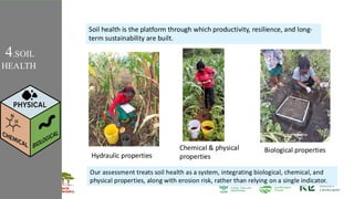 Hydraulic properties
Chemical & physical
properties
Biological properties
Our assessment treats soil health as a system, integrating biological, chemical, and
physical properties, along with erosion risk, rather than relying on a single indicator.
4.SOIL
HEALTH
Soil health is the platform through which productivity, resilience, and long-
term sustainability are built.
 