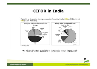 CIFOR in India and South Asia | PDF