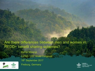 Esther Mwangi
IUFRO 125th World Congress
18th September 2017
Freiburg, Germany
Are there differences between men and women in
REDD+ benefit sharing schemes?
 