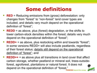 Redd REDD+ and Biodiversity Conservation | PPTX