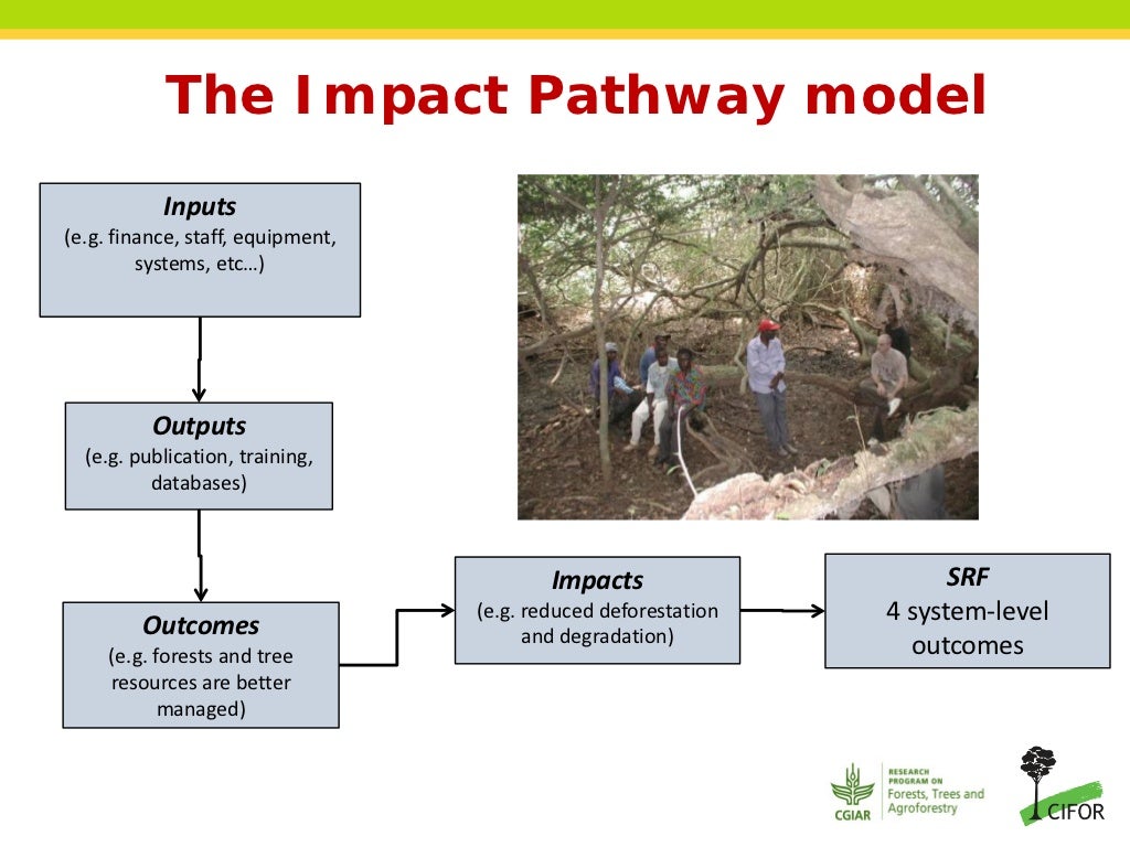 The Impact Pathway model Inputs