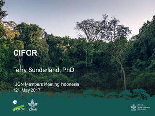 CIFOR
Terry Sunderland, PhD
IUCN Members Meeting Indonesia
12th May 2017
 