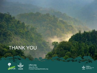 Enhancing transparency in the land sector under the Paris Agreement: Bringing contributions of non-state actors and corporate pledges into national-level climate reporting