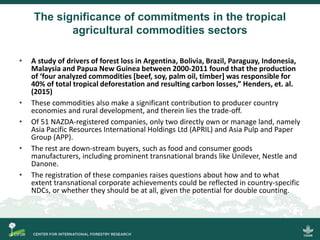 Enhancing transparency in the land sector under the Paris Agreement: Bringing contributions of non-state actors and corporate pledges into national-level climate reporting
