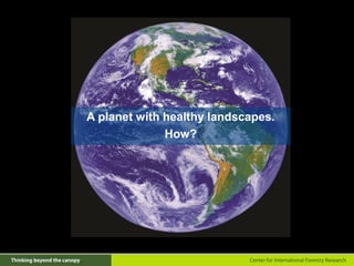 A planet with healthy landscapes.
How?
 