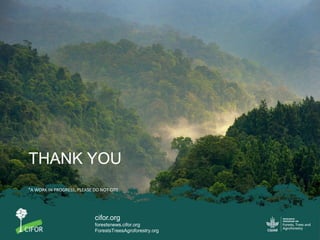 Policy Network Analysis on REDD+