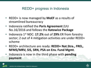 Policy Network Analysis on REDD+