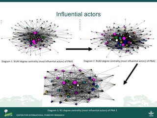 Policy Network Analysis on REDD+
