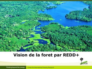 Vision de la foret par REDD+

 