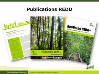 Publications REDD

 