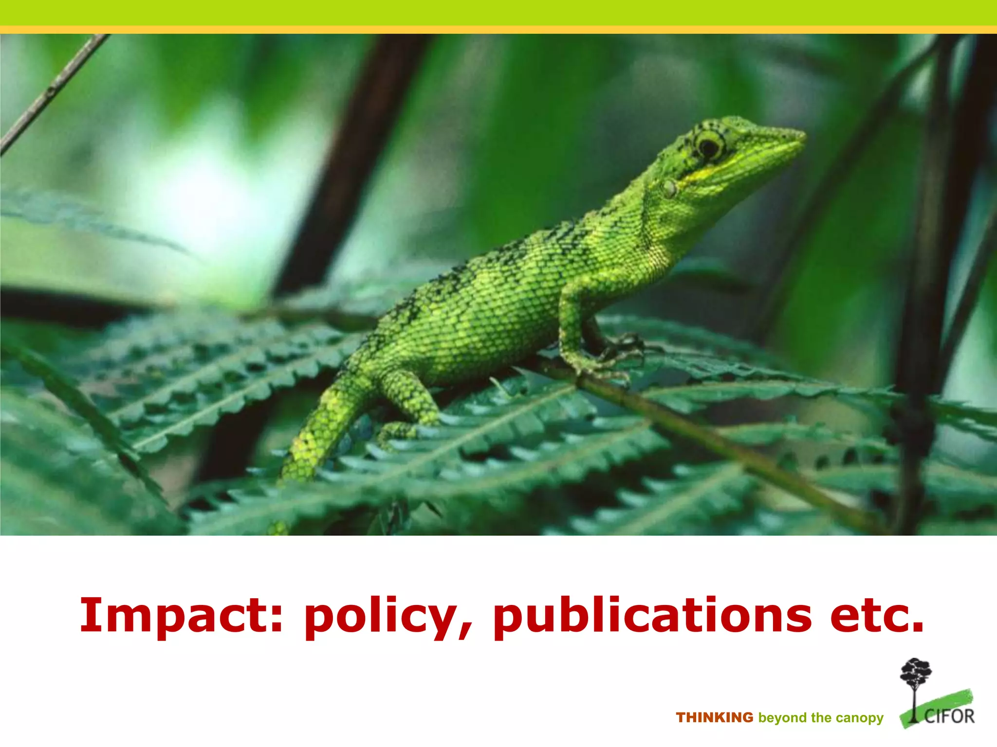 Impact: policy, publications etc.
THINKING beyond the canopy

 