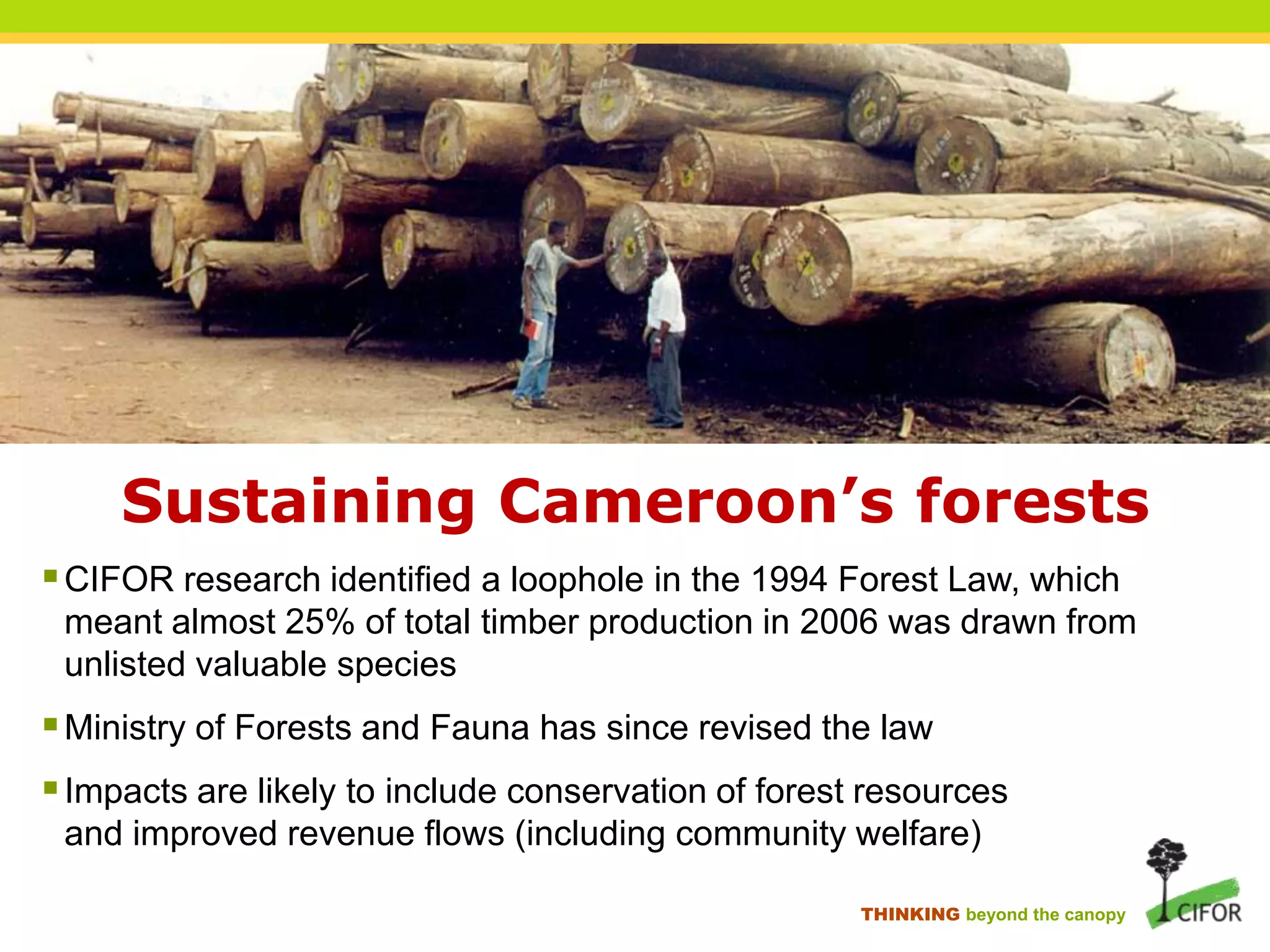 Sustaining Cameroon’s forests
 CIFOR research identified a loophole in the 1994 Forest Law, which
meant almost 25% of total timber production in 2006 was drawn from
unlisted valuable species

 Ministry of Forests and Fauna has since revised the law
 Impacts are likely to include conservation of forest resources
and improved revenue flows (including community welfare)
THINKING beyond the canopy

 