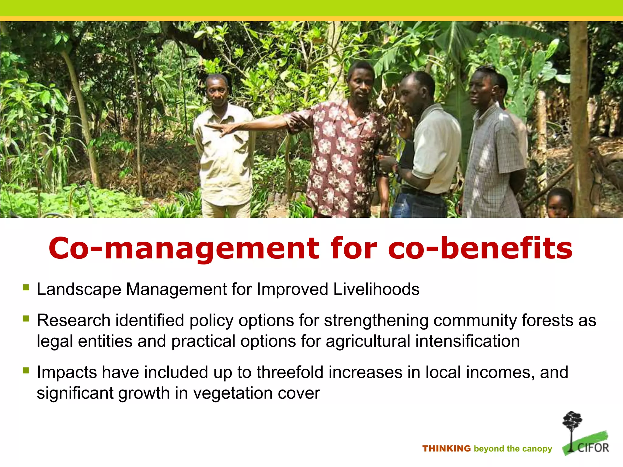 Co-management for co-benefits
 Landscape Management for Improved Livelihoods
 Research identified policy options for strengthening community forests as
legal entities and practical options for agricultural intensification

 Impacts have included up to threefold increases in local incomes, and
significant growth in vegetation cover
THINKING beyond the canopy

 