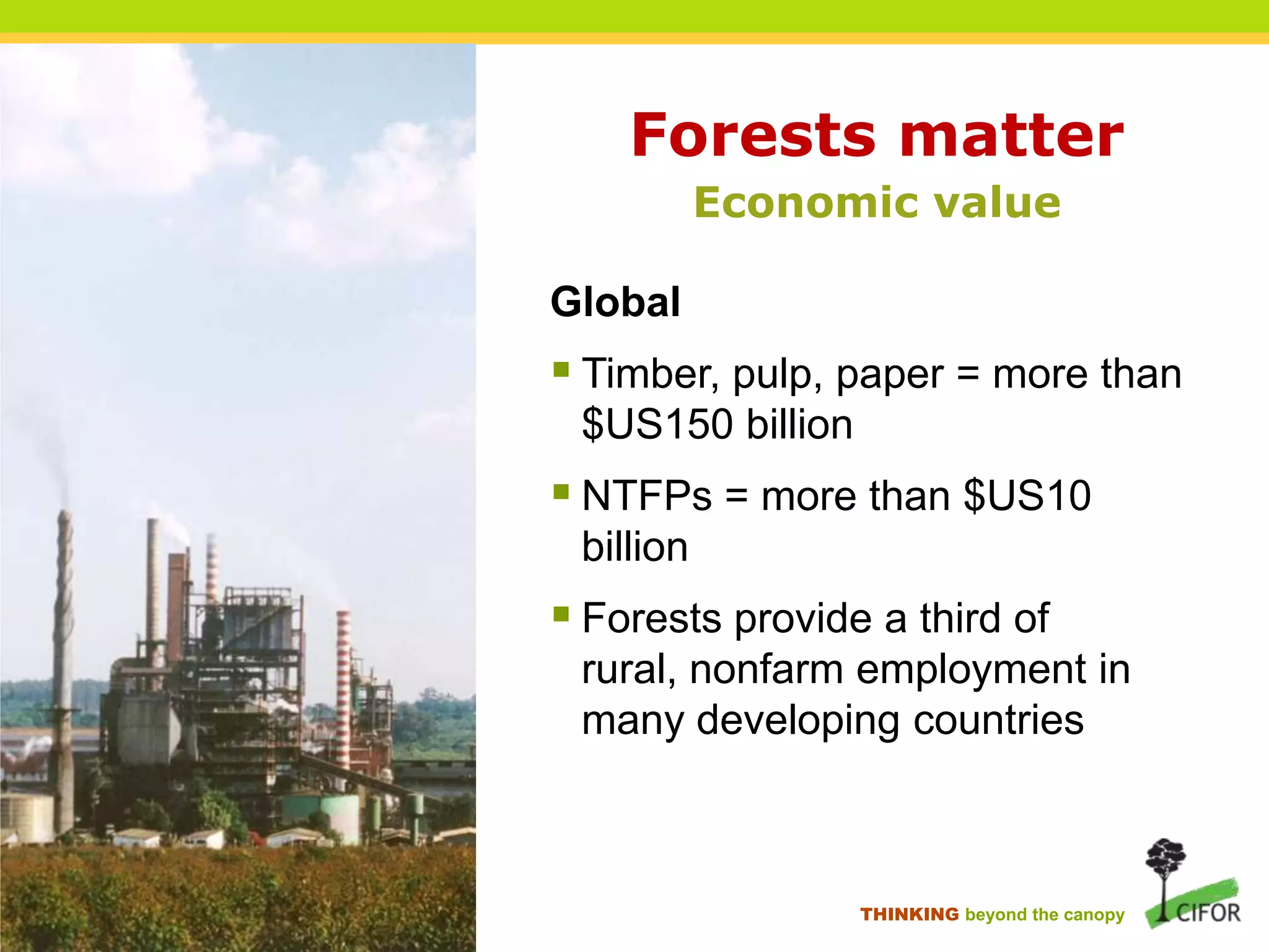 Forests matter
Economic value
Global

 Timber, pulp, paper = more than
$US150 billion

 NTFPs = more than $US10
billion

 Forests provide a third of
rural, nonfarm employment in
many developing countries

THINKING beyond the canopy

 