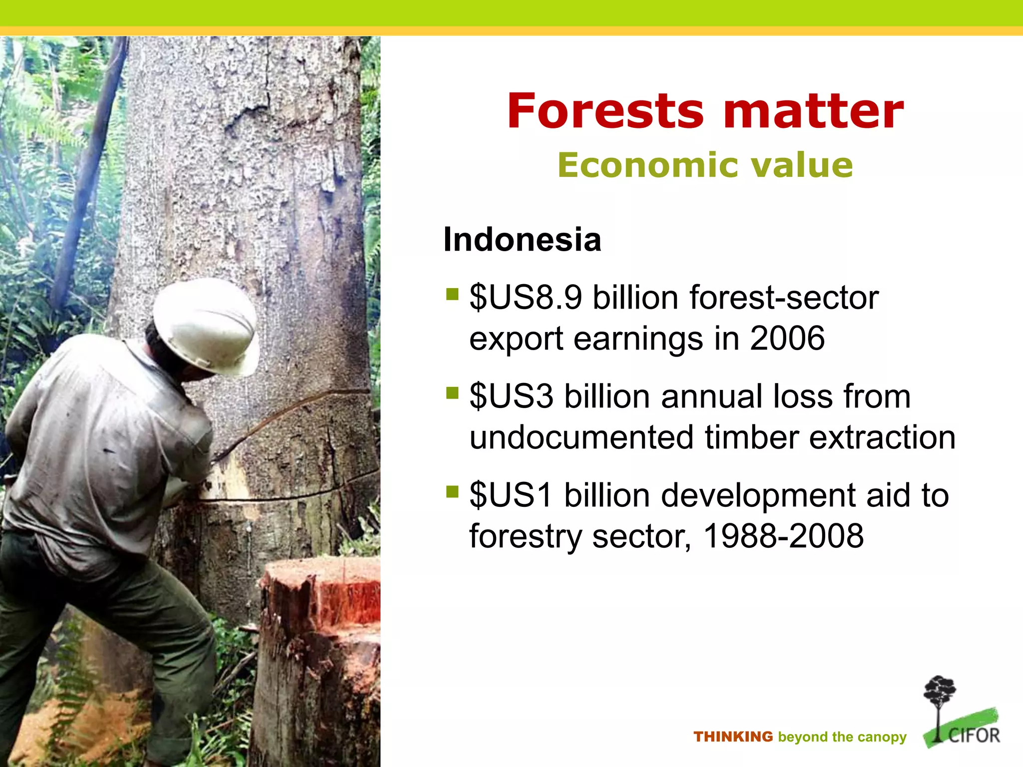 Forests matter
Economic value
Indonesia

 $US8.9 billion forest-sector
export earnings in 2006

 $US3 billion annual loss from
undocumented timber extraction

 $US1 billion development aid to
forestry sector, 1988-2008

THINKING beyond the canopy

 