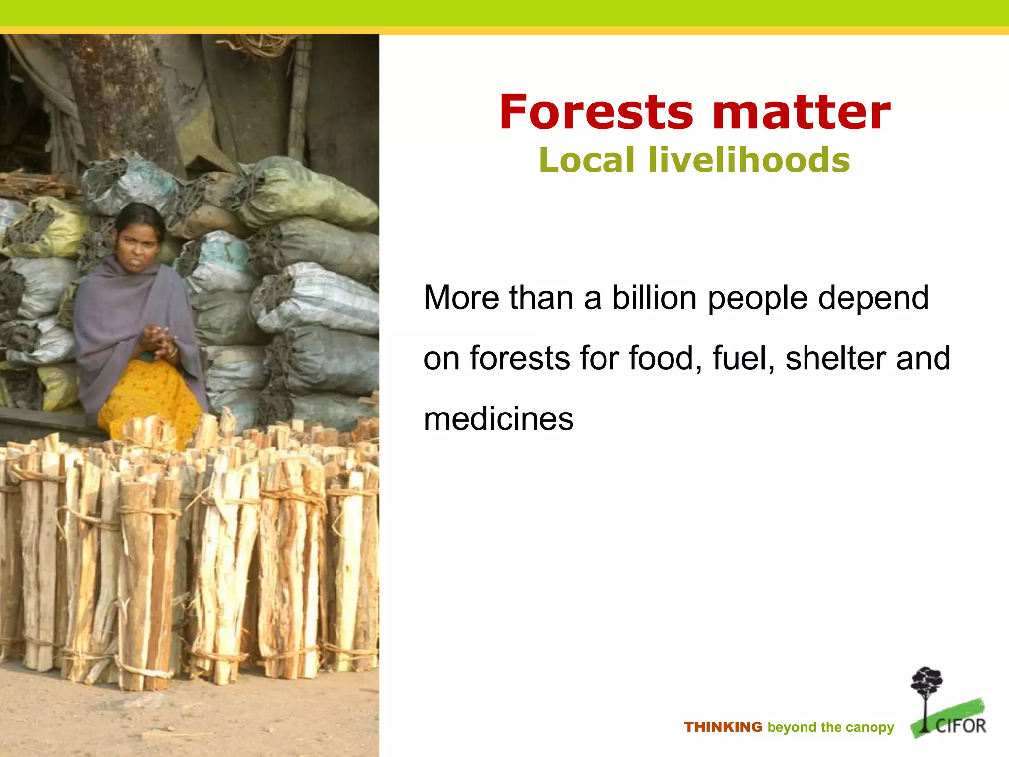 Forests matter
Local livelihoods

More than a billion people depend
on forests for food, fuel, shelter and

medicines

THINKING beyond the canopy

 