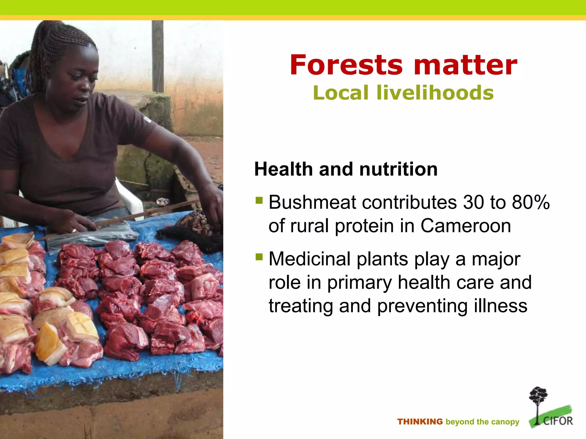 Forests matter
Local livelihoods

Health and nutrition

 Bushmeat contributes 30 to 80%
of rural protein in Cameroon

 Medicinal plants play a major
role in primary health care and
treating and preventing illness

THINKING beyond the canopy

 