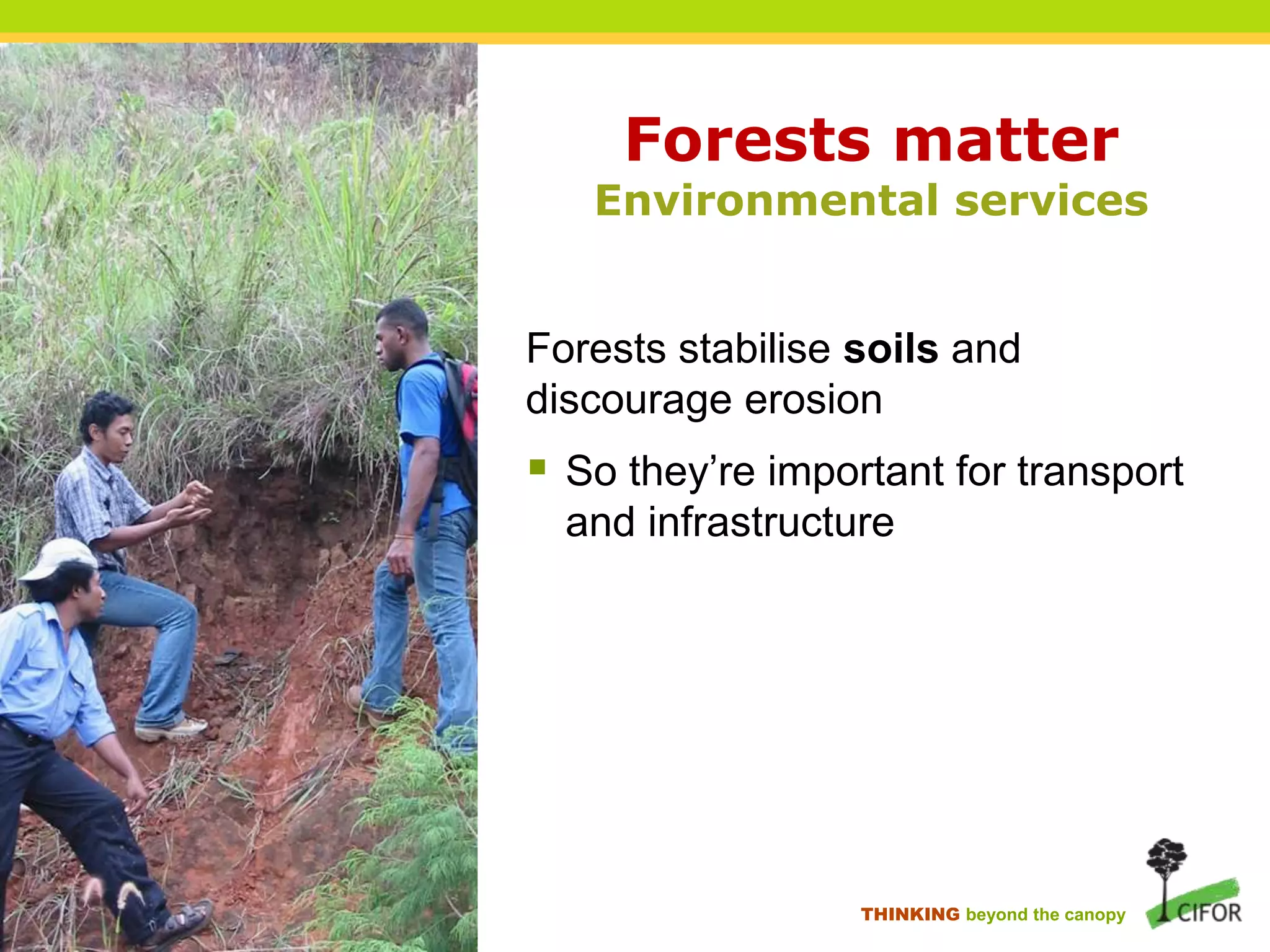 Forests matter

Environmental services

Forests stabilise soils and
discourage erosion

 So they‟re important for transport
and infrastructure

THINKING beyond the canopy

 