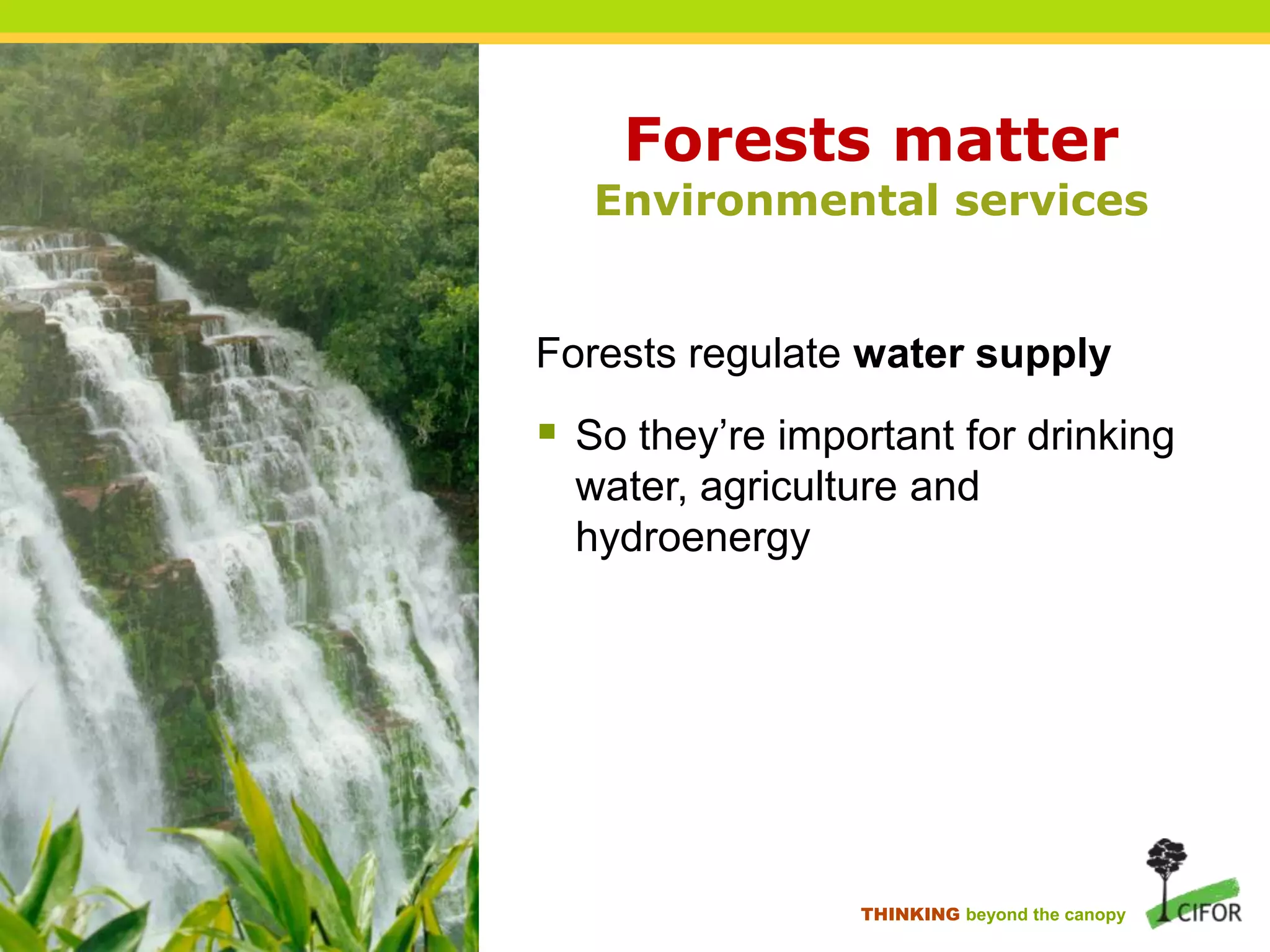Forests matter

Environmental services

Forests regulate water supply

 So they‟re important for drinking
water, agriculture and
hydroenergy

THINKING beyond the canopy

 
