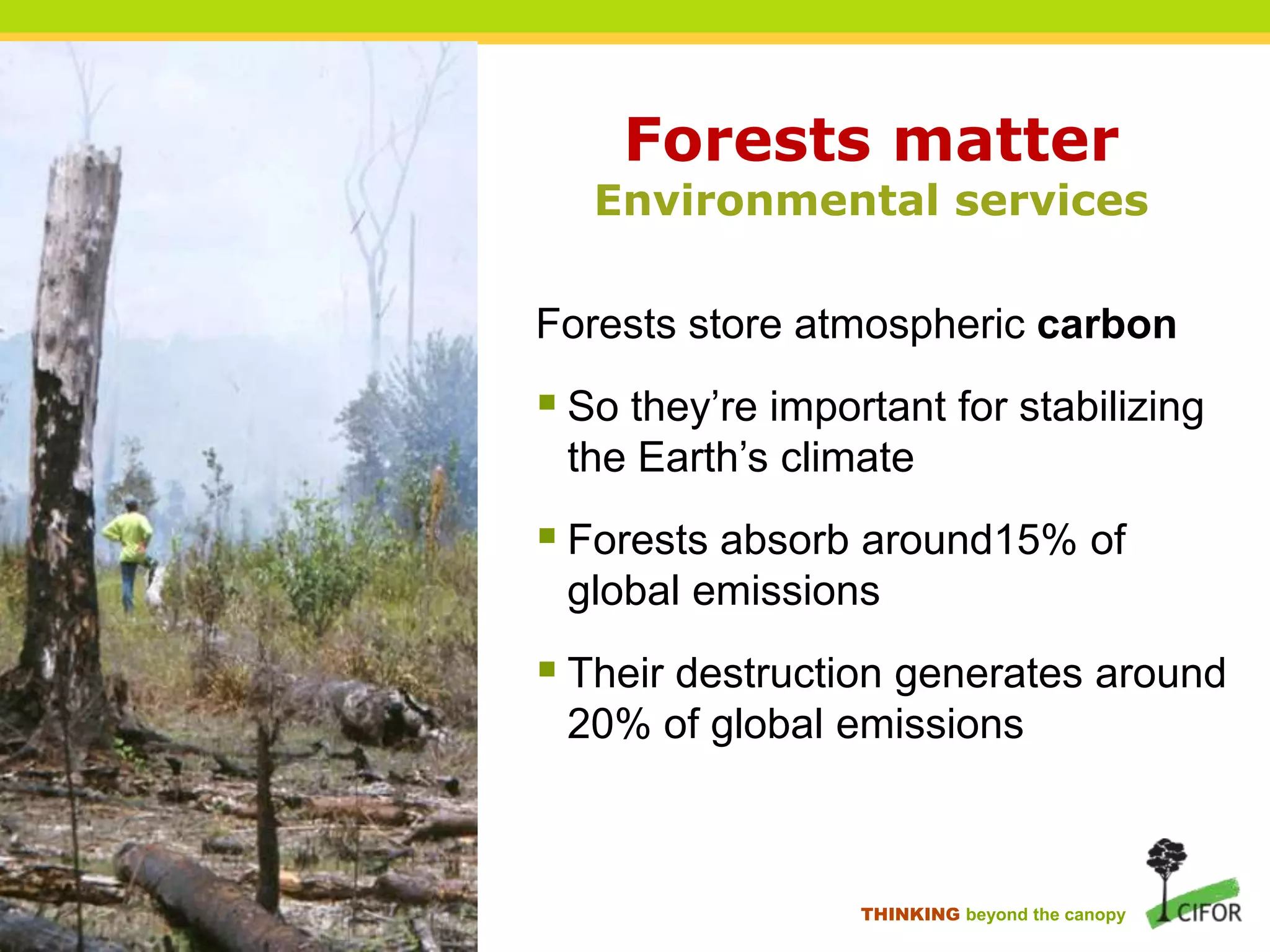 Forests matter

Environmental services
Forests store atmospheric carbon

 So they‟re important for stabilizing
the Earth‟s climate

 Forests absorb around15% of
global emissions

 Their destruction generates around
20% of global emissions

THINKING beyond the canopy

 