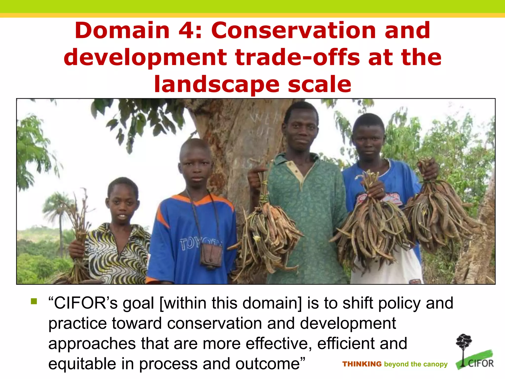 Domain 4: Conservation and
development trade-offs at the
landscape scale

 “CIFOR‟s goal [within this domain] is to shift policy and
practice toward conservation and development
approaches that are more effective, efficient and
THINKING beyond the canopy
equitable in process and outcome”

 