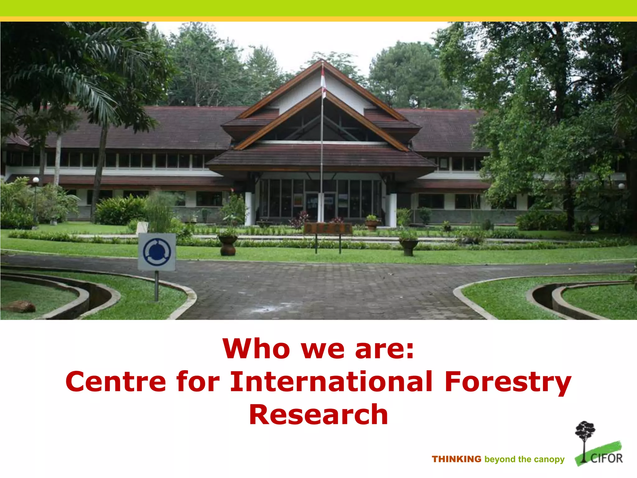 Who we are:
Centre for International Forestry
Research
THINKING beyond the canopy

 