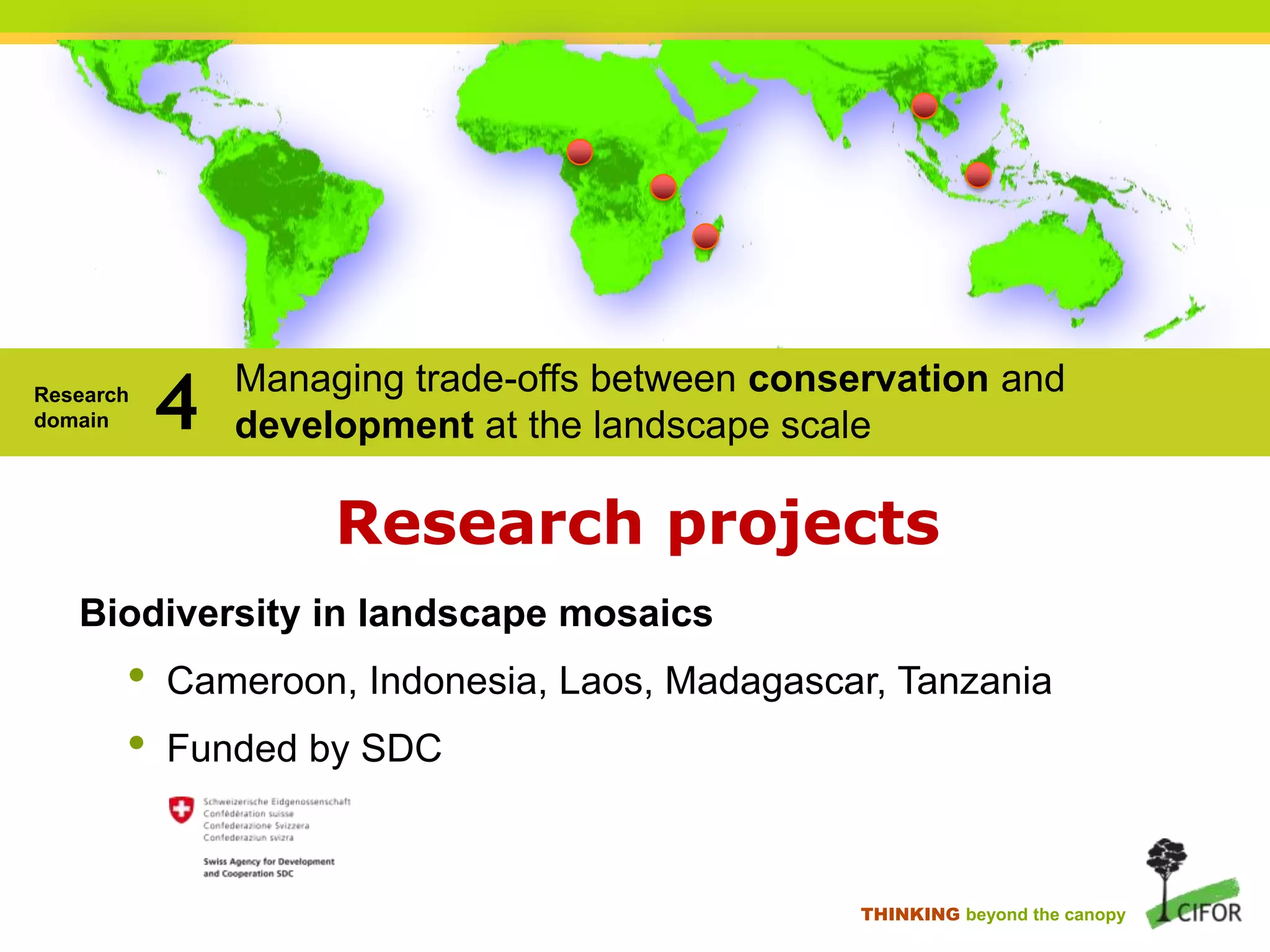 Research
domain

4

Managing trade-offs between conservation and
development at the landscape scale

Research projects
Biodiversity in landscape mosaics

•
•

Cameroon, Indonesia, Laos, Madagascar, Tanzania
Funded by SDC

THINKING beyond the canopy

 