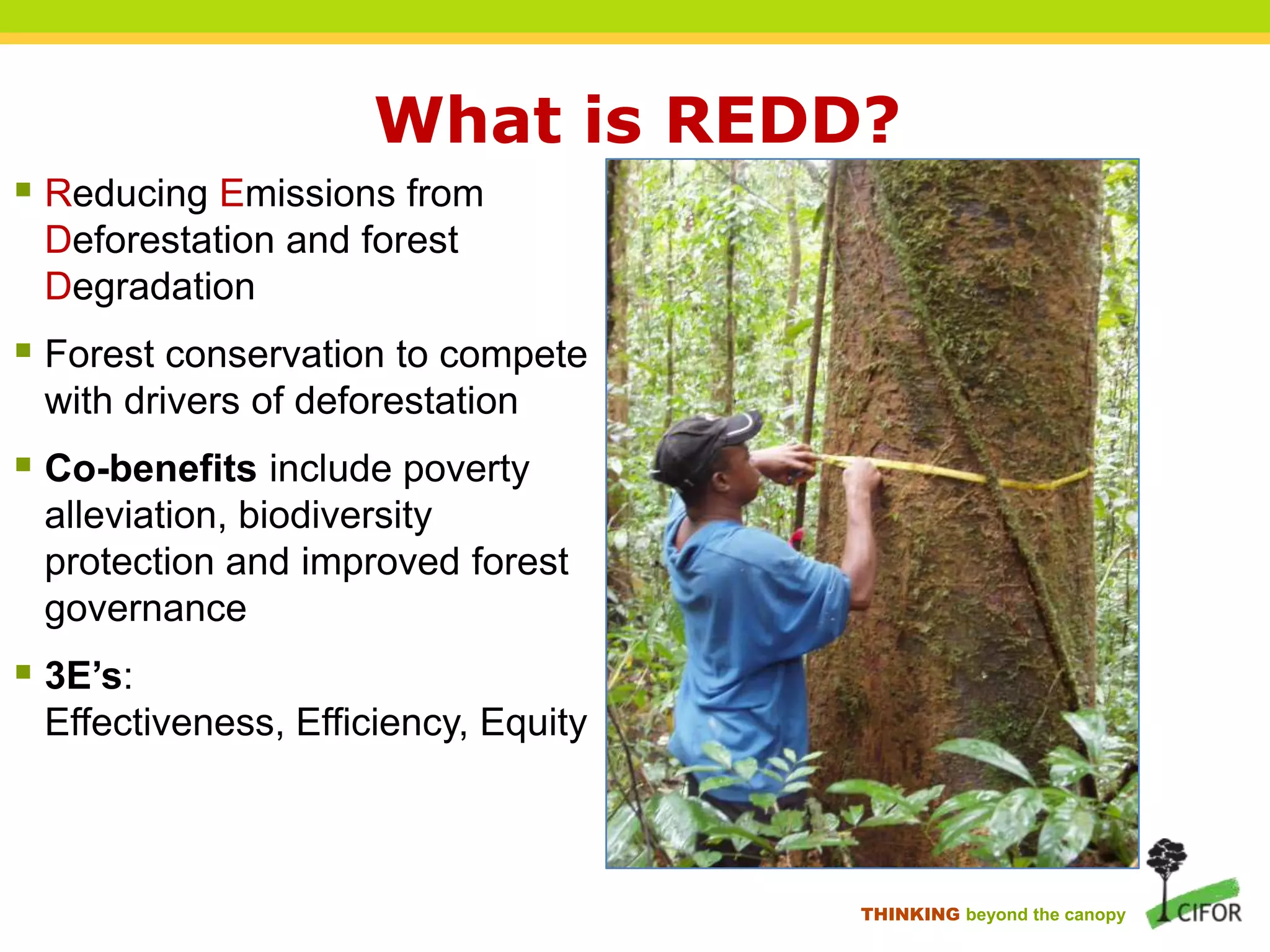 What is REDD?
 Reducing Emissions from
Deforestation and forest
Degradation

 Forest conservation to compete
with drivers of deforestation

 Co-benefits include poverty
alleviation, biodiversity
protection and improved forest
governance

 3E’s:
Effectiveness, Efficiency, Equity

THINKING beyond the canopy

 