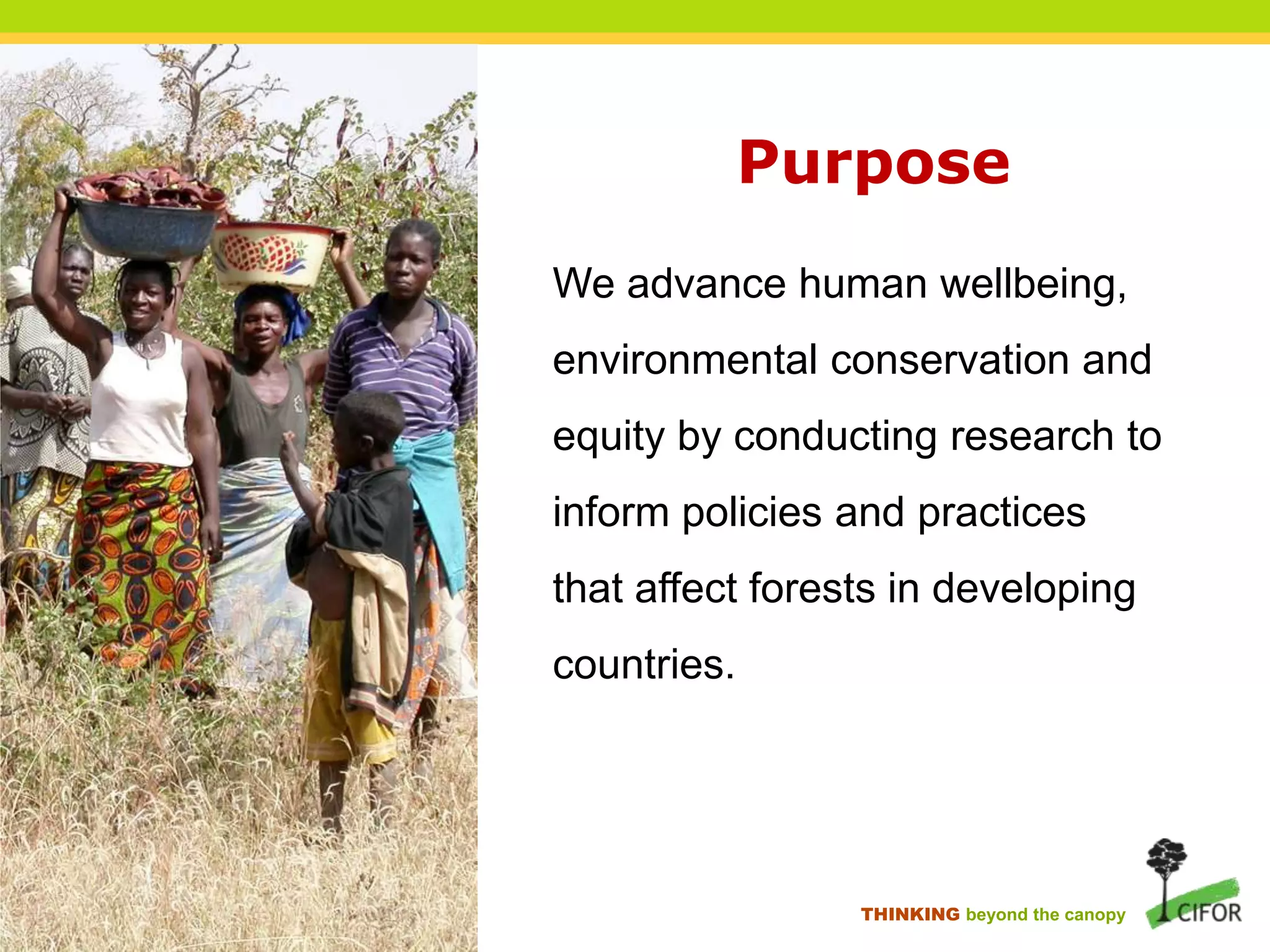 Purpose
We advance human wellbeing,
environmental conservation and
equity by conducting research to

inform policies and practices
that affect forests in developing
countries.

THINKING beyond the canopy

 